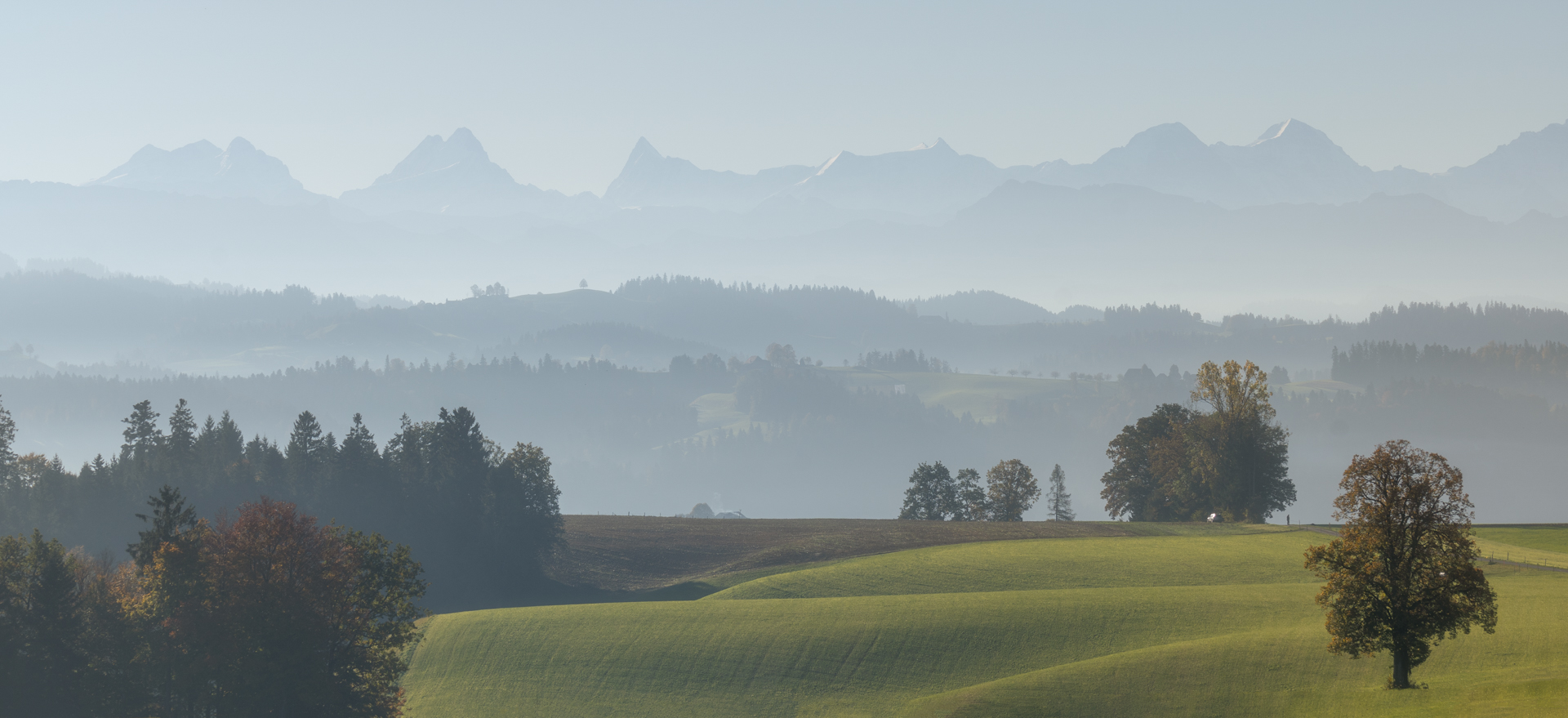 Layers