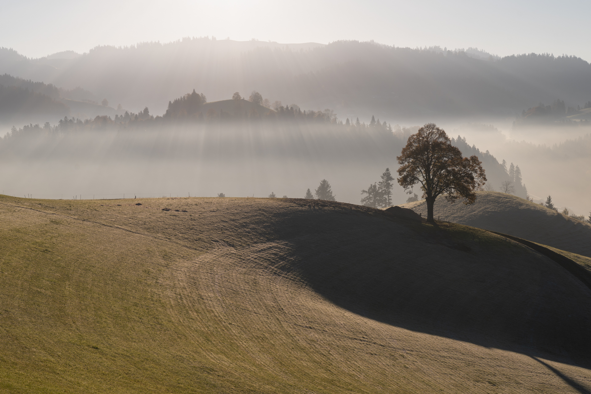 Emmental, Switzerland